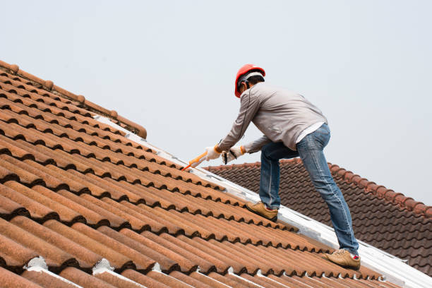 Best Solar Panel Roofing Installation  in Byron, IL